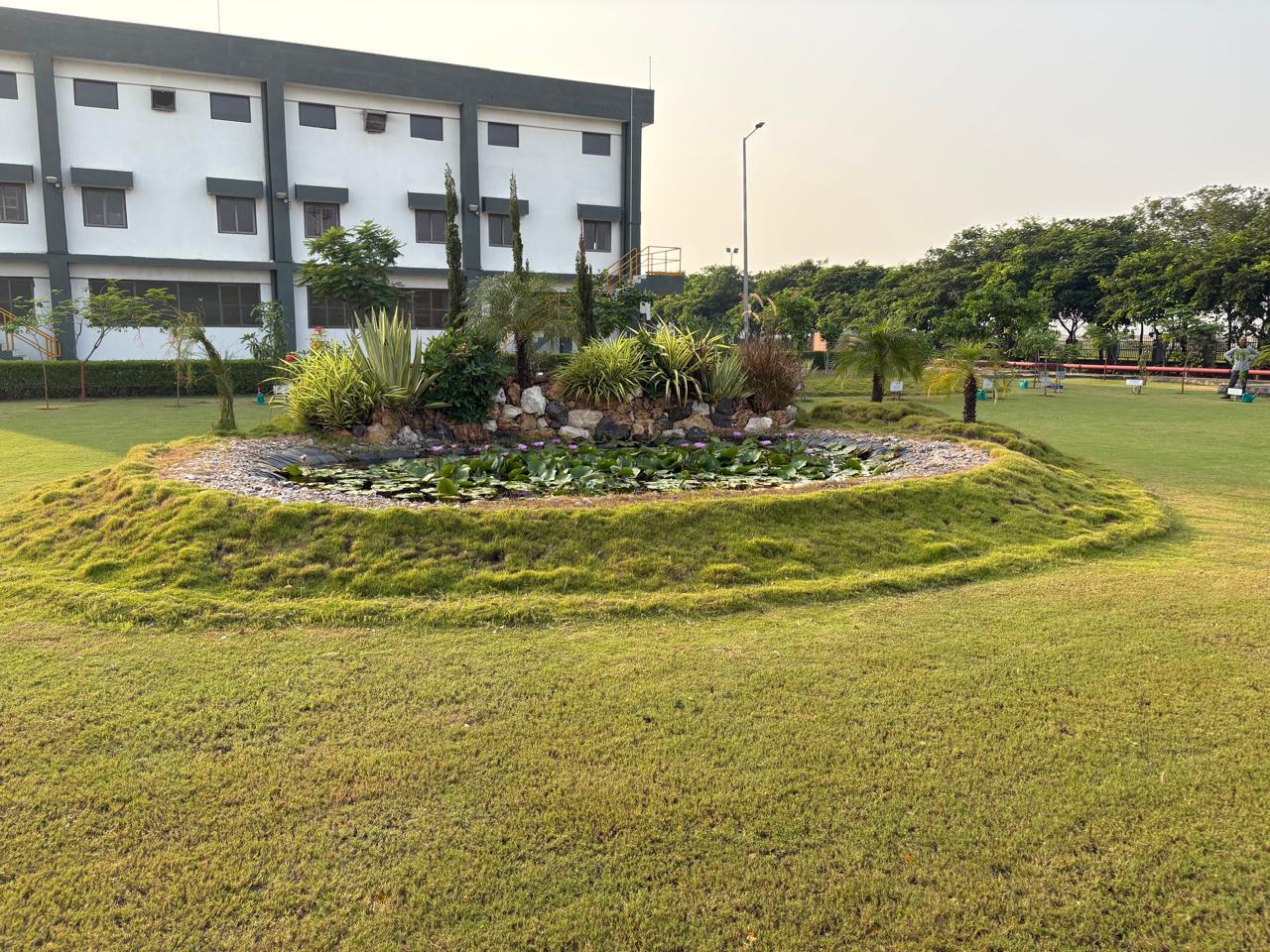 Plant